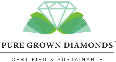 Lab grown deals diamonds inc